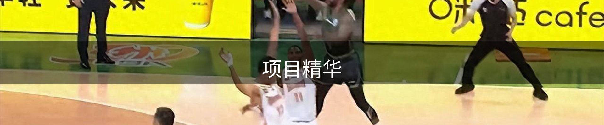 项目精华